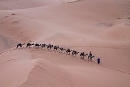 Transport (Only big cities, remote area's on request)